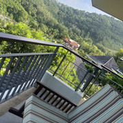 IMG 4603