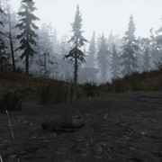 57