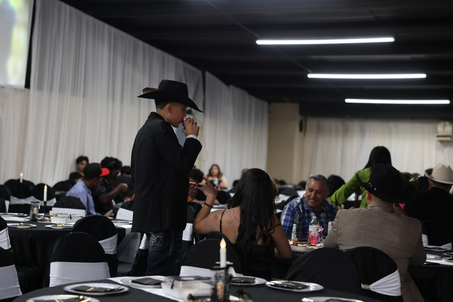 IMG-8544