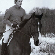 reeve horse
