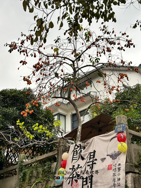 满觉陇9.png