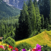 f8e2eaa3421f11f194b626bebe39ff7f.gif