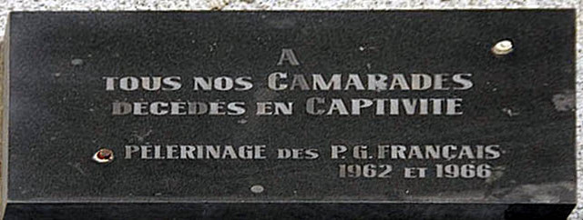 https://i.ibb.co/G4XcjWL1/image.jpg