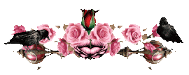 image1788688802-reduit