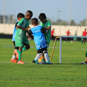 IMG 4424