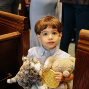 IMG 8527