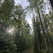 IMG 4803
