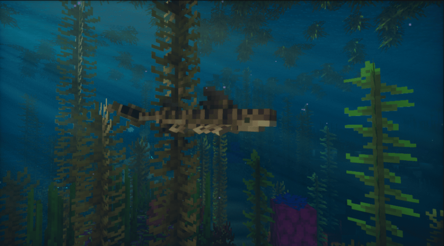 The Ocean | img3
