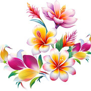 bc78aa37e409c75c6c8eaea9a1de719a