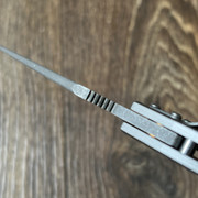 https://i.ibb.co/G4hcNwCm/IMG-5233.jpg