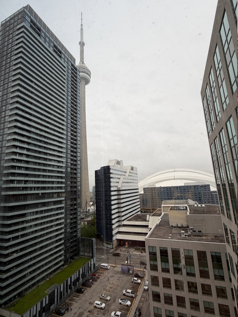 IMG 7136.jpg