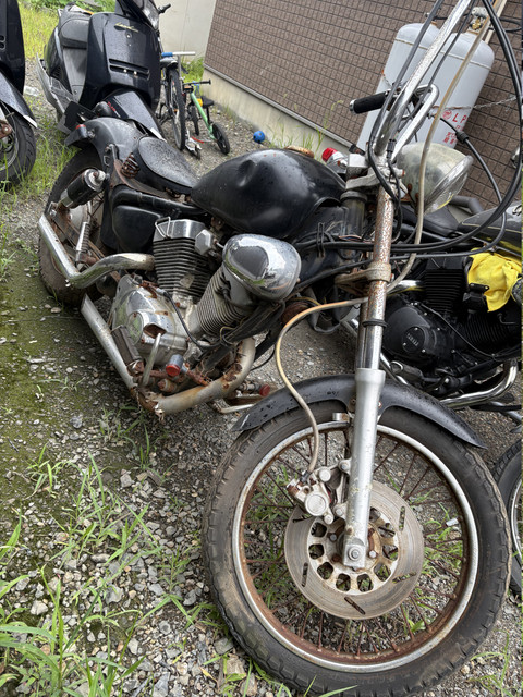 IMG 5389.jpg