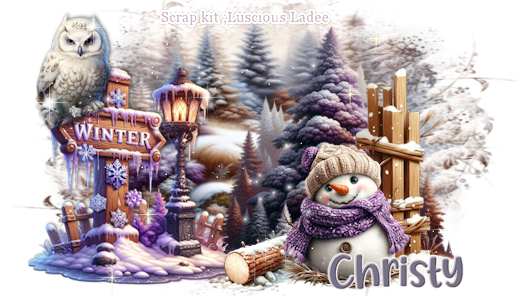 christy2wintercluster vi.png