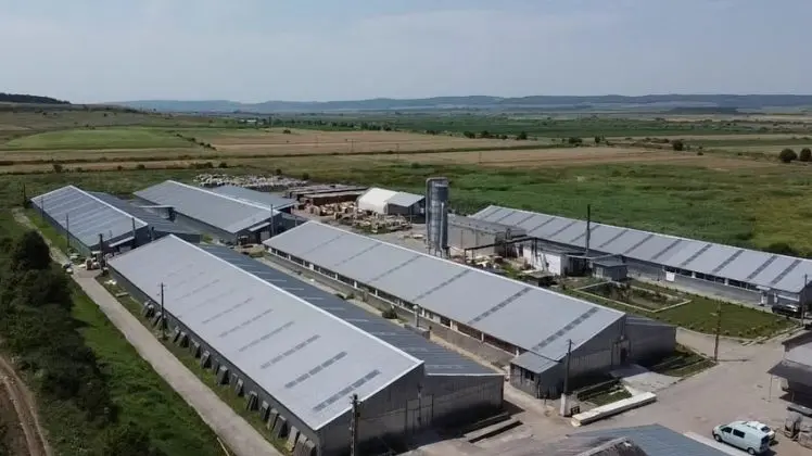 Roca Industry are conturile poprite după refuzul de a plăti o tranșă pentru preluarea unei companii