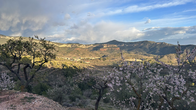 Sierra de Montsant
