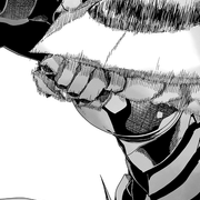 image5png.png