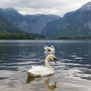 IMG-0315-2