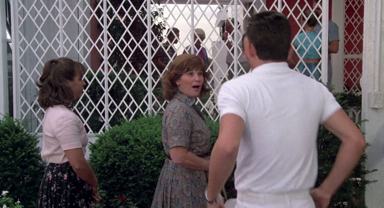 The Flamingo Kid Screenshot
