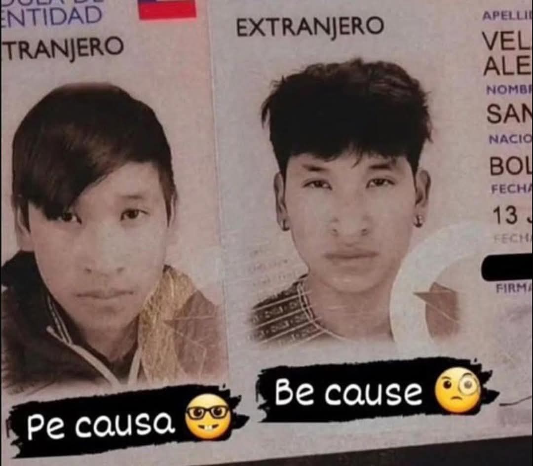 gringo.jpg