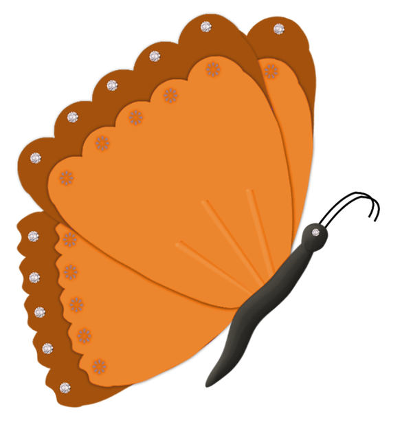 papillon5.png