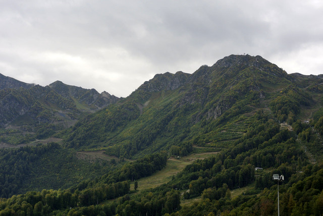 DSC7175.jpg