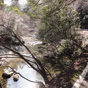 2011-02-26-073