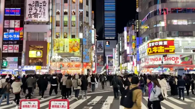 歌舞伎町4.webp