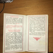 IMG 0205