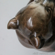 IMG-3363