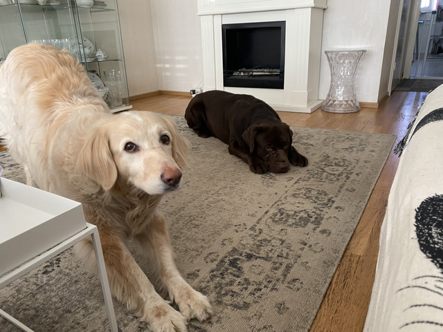 727459-CC-653-F-4-E8-E-B7-F9-7-D7-F8-EAA