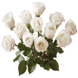 rose2-zps7d39e9c4.png