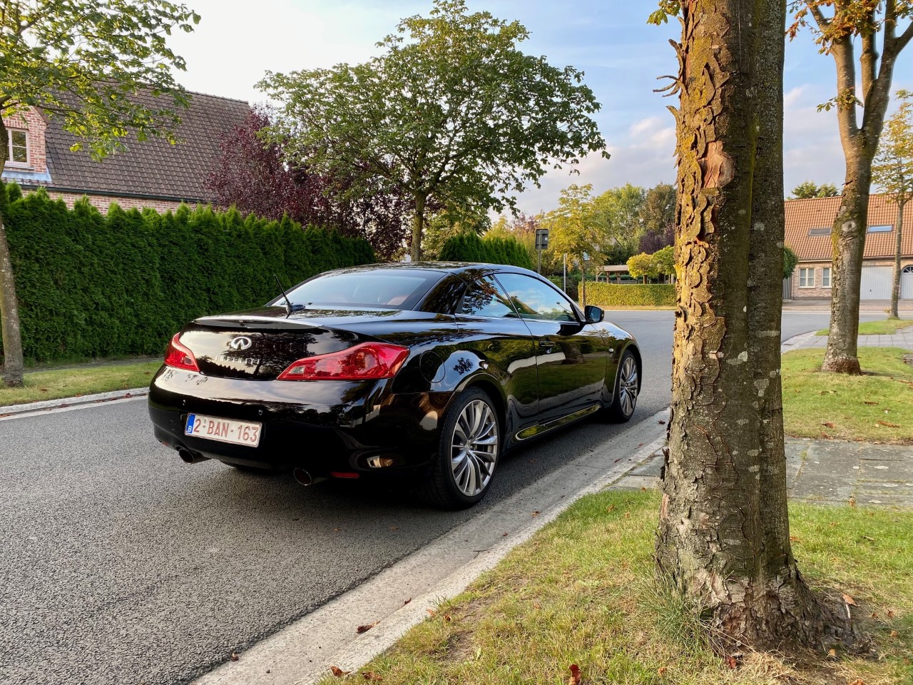 infiniti5.jpg