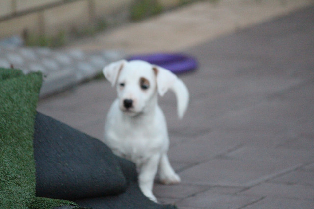 IMG-9857