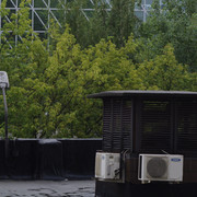 DSC5466