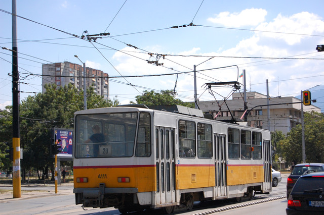 DSC-1010