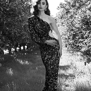 lily2