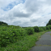 P1320412