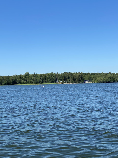 82-C993-FE-C9-CA-4-CD8-B7-BC-8-CF56-D1-A