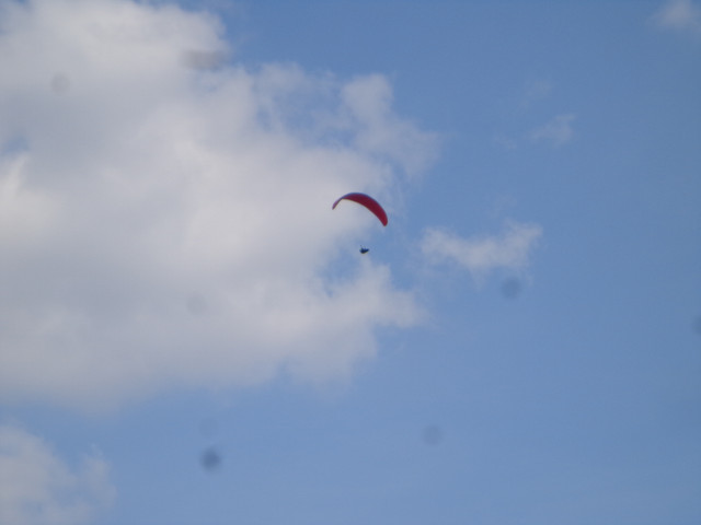 DSC00831.jpg