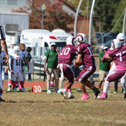 IMG-8121