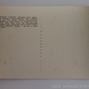 IMG-0334