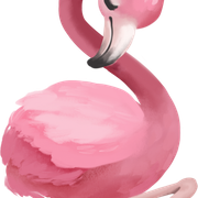 flamingo1-2