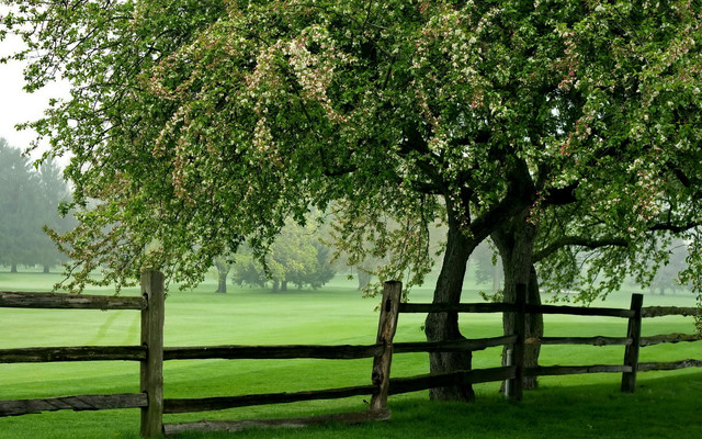spring-072