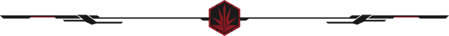 Indomitus-Divider.png