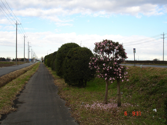 2008-12-06-067