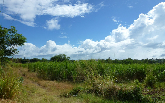 P1070115
