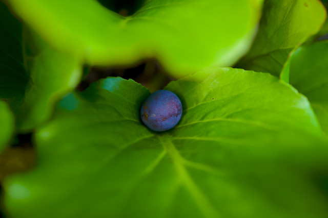 L1010150