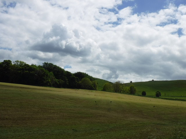 DSCF6061.jpg