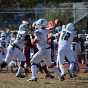 IMG-4033