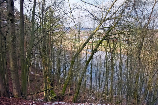 DSCF6263.jpg